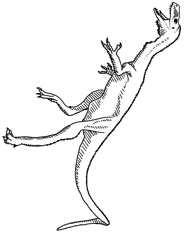 DinosaurierInteresse EODROMAEUS