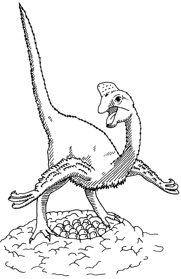 dinosaurierinteresse  oviraptor