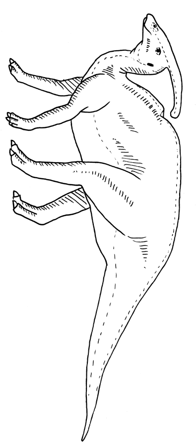 Dinosaurier-Interesse - PARASAUROLOPHUS